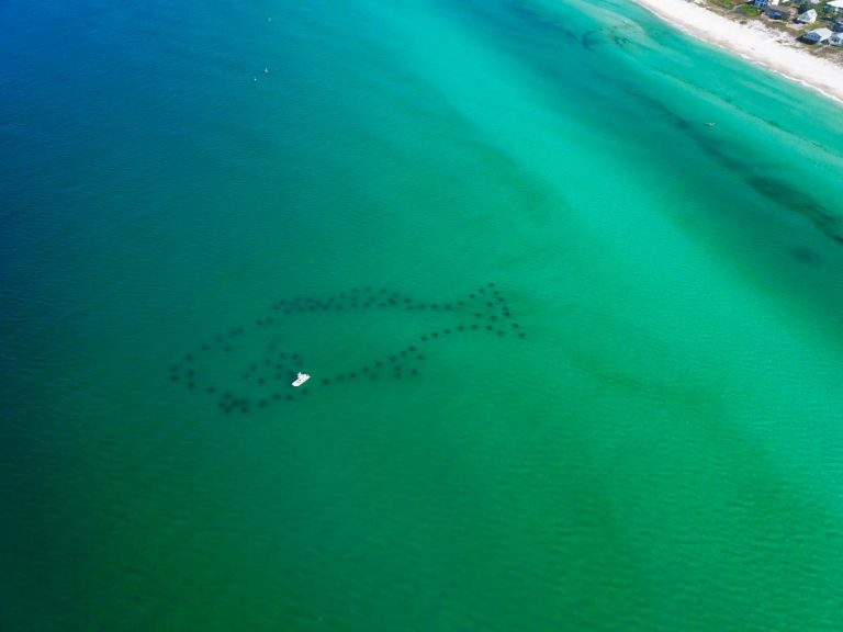 Snorkeling in Destin Florida
