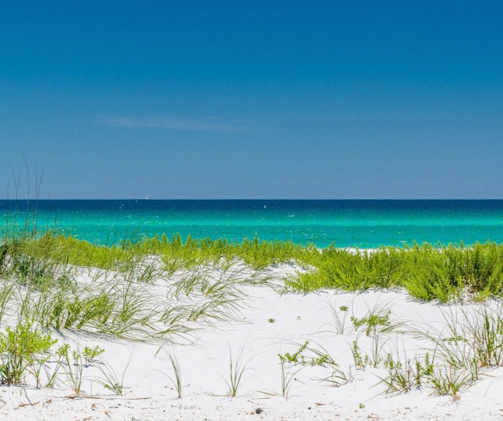 Panhandle White Sand