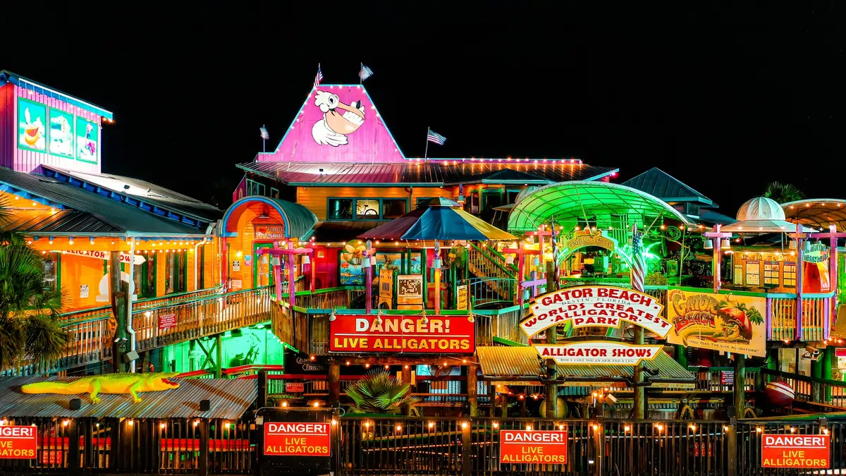 Things To Do Gator Beach